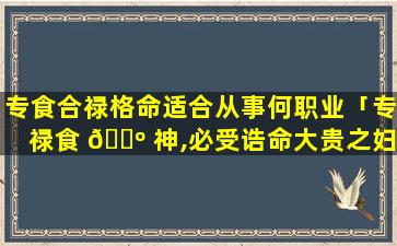 专食合禄格命适合从事何职业「专禄食 🐺 神,必受诰命大贵之妇」
